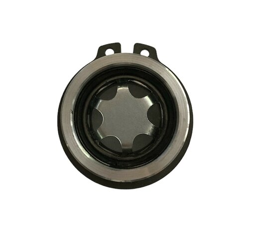 LCR Water Pump cap