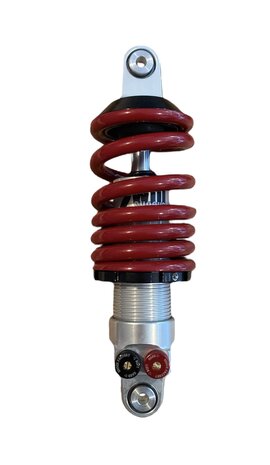 Shock Factory 2Win shock absorber with double adjustment ARS F1 rear 18-24